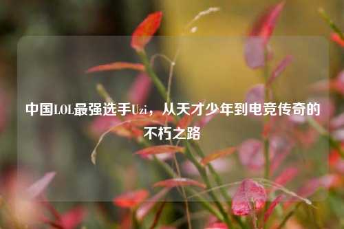 中国LOL最强选手Uzi，从天才少年到电竞传奇的不朽之路