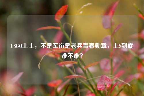 CSGO上士，不是军衔是老兵青春勋章，上S到底难不难？