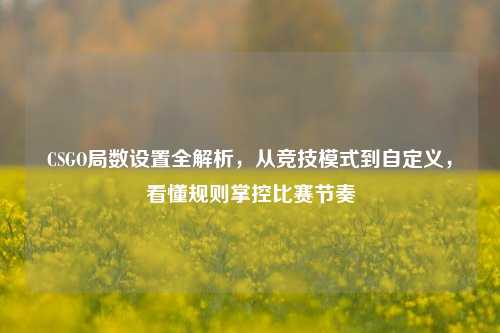 CSGO局数设置全解析,从竞技模式到自定义,看懂规则掌控比赛节奏