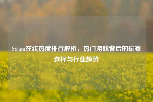 Steam在线热度排行解析,热门游戏背后的玩家选择与行业趋势