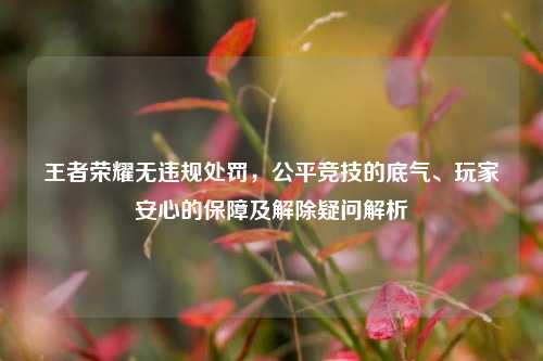 王者荣耀无违规处罚，公平竞技的底气、玩家安心的保障及解除疑问解析