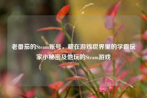 老番茄的Steam账号,藏在游戏世界里的学霸玩家小秘密及他玩的Steam游戏