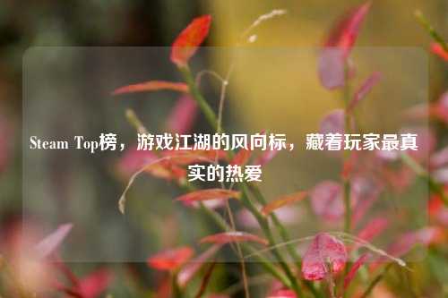 Steam Top榜，游戏江湖的风向标，藏着玩家最真实的热爱