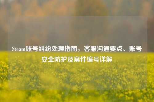 Steam账号纠纷处理指南，客服沟通要点、账号安全防护及案件编号详解