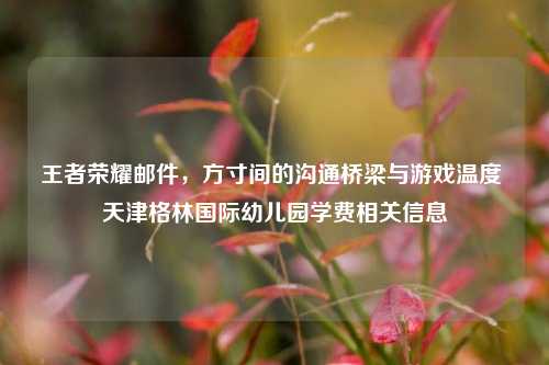 王者荣耀邮件，方寸间的沟通桥梁与游戏温度 天津格林国际幼儿园学费相关信息