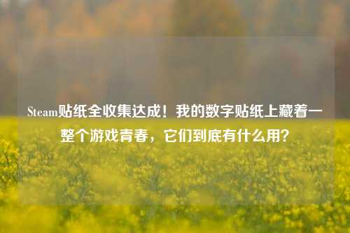 Steam贴纸全收集达成!我的数字贴纸上藏着一整个游戏青春,它们到底有什么用?