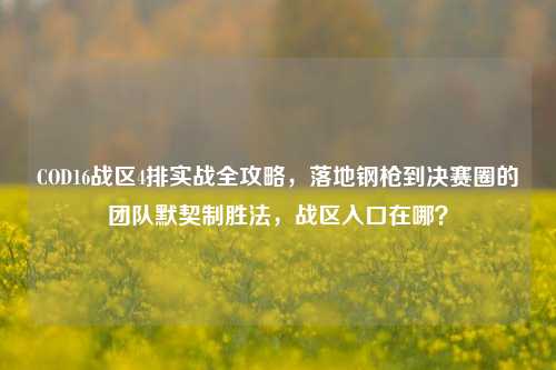 COD16战区4排实战全攻略，落地钢枪到决赛圈的团队默契制胜法，战区入口在哪？