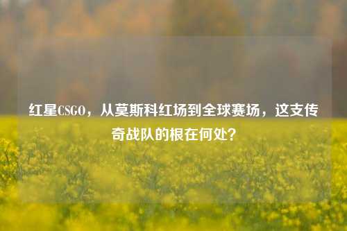 红星CSGO,从莫斯科红场到全球赛场,这支传奇战队的根在何处?