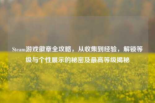 Steam游戏徽章全攻略，从收集到经验，解锁等级与个性展示的秘密及最高等级揭秘