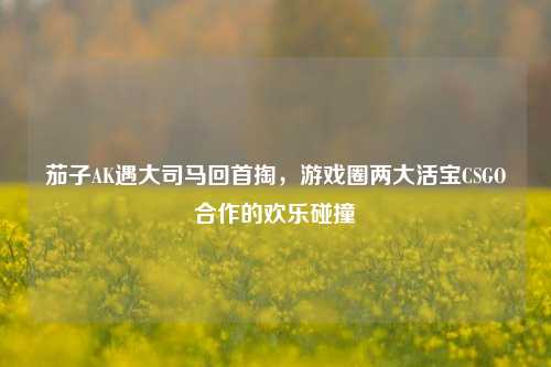 茄子AK遇大司马回首掏，游戏圈两大活宝CSGO合作的欢乐碰撞