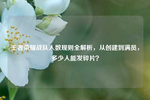 王者荣耀战队人数规则全解析，从创建到满员，多少人能发碎片？