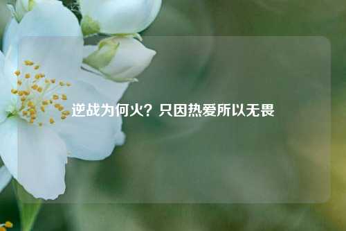 逆战为何火？只因热爱所以无畏