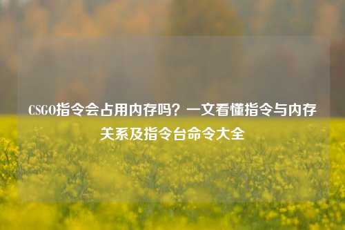 CSGO指令会占用内存吗？一文看懂指令与内存关系及指令台命令大全