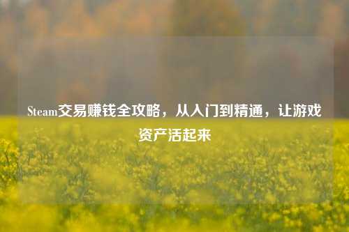 Steam交易赚钱全攻略,从入门到精通,让游戏资产活起来