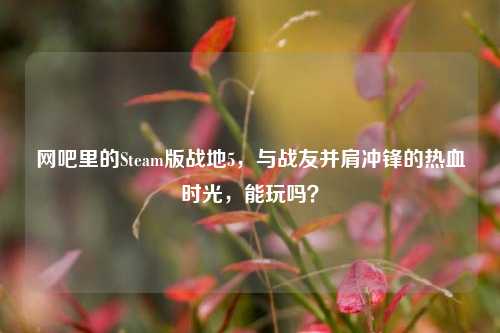 网吧里的Steam版战地5,与战友并肩冲锋的热血时光,能玩吗?