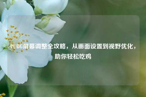 PUBG屏幕调整全攻略，从画面设置到视野优化，助你轻松吃鸡