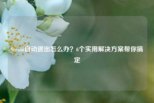 Steam自动退出怎么办？6个实用解决方案帮你搞定