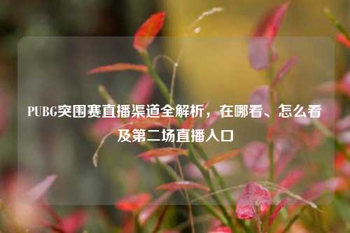PUBG突围赛直播渠道全解析，在哪看、怎么看及第二场直播入口