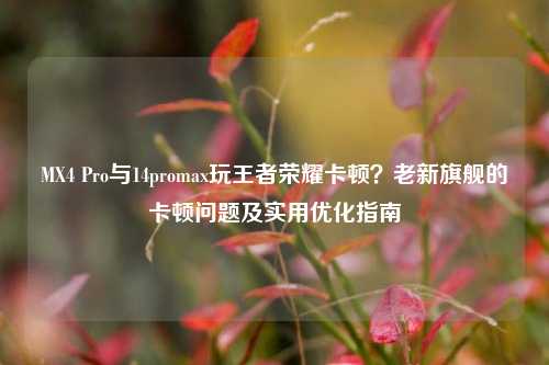 MX4 Pro与14promax玩王者荣耀卡顿？老新旗舰的卡顿问题及实用优化指南