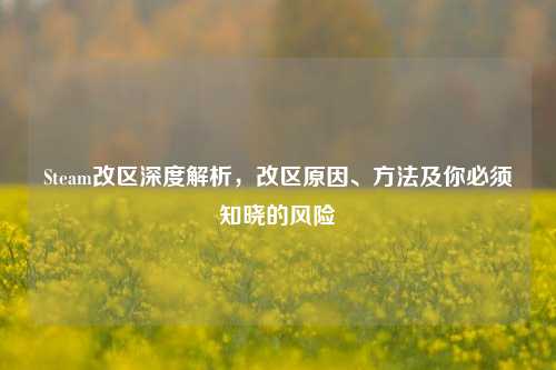 Steam改区深度解析，改区原因、方法及你必须知晓的风险