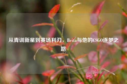 从青训新星到赛场利刃，Beita与他的CSGO逐梦之路