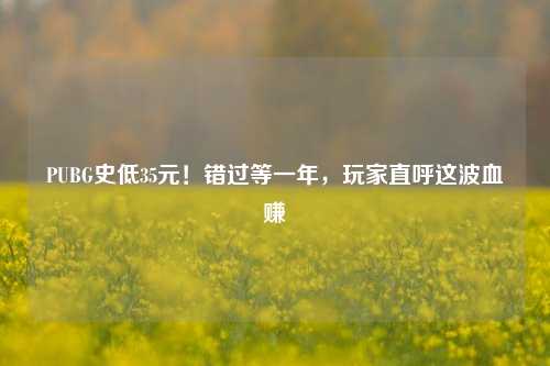 PUBG史低35元！错过等一年，玩家直呼这波血赚