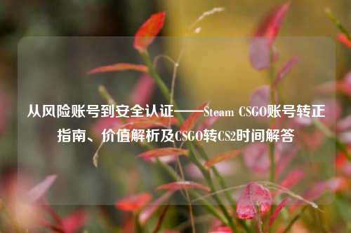 从风险账号到安全认证——Steam CSGO账号转正指南、价值解析及CSGO转CS2时间解答