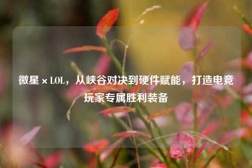 微星×LOL,从峡谷对决到硬件赋能,打造电竞玩家专属胜利装备
