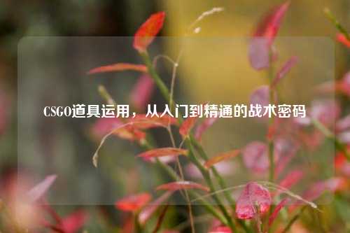 CSGO道具运用，从入门到精通的战术密码