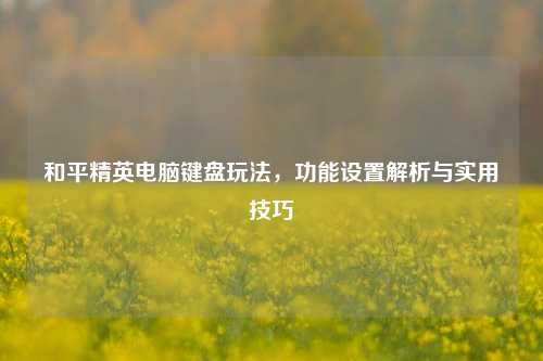 和平精英电脑键盘玩法，功能设置解析与实用技巧