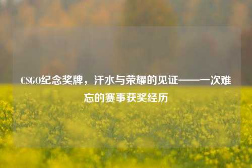 CSGO纪念奖牌，汗水与荣耀的见证——一次难忘的赛事获奖经历