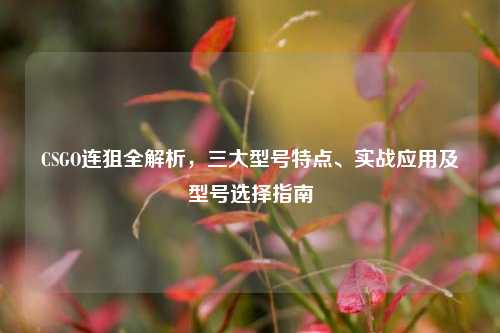 CSGO连狙全解析,三大型号特点、实战应用及型号选择指南