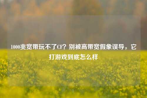 1000兆宽带玩不了CF?别被高带宽假象误导,它打游戏到底怎么样