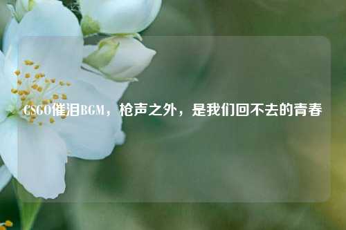 CSGO催泪BGM，枪声之外，是我们回不去的青春