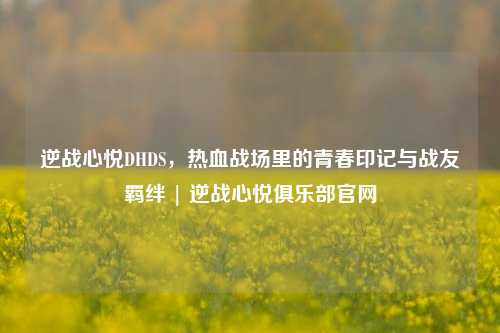 逆战心悦DHDS,热血战场里的青春印记与战友羁绊 | 逆战心悦俱乐部官网
