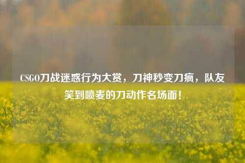 CSGO刀战迷惑行为大赏，刀神秒变刀疯，队友笑到喷麦的刀动作名场面！