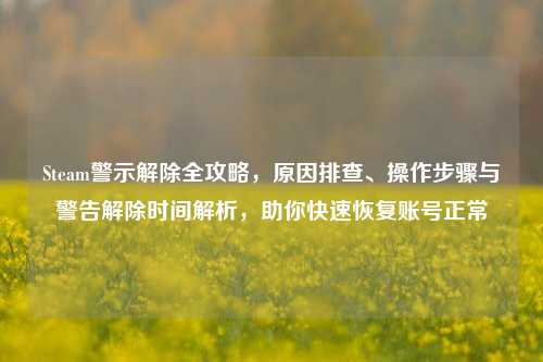 Steam警示解除全攻略，原因排查、操作步骤与警告解除时间解析，助你快速恢复账号正常