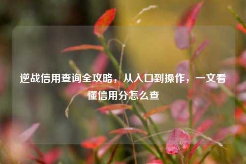 逆战信用查询全攻略,从入口到操作,一文看懂信用分怎么查