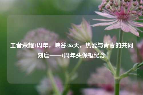 王者荣耀1周年，峡谷365天，热爱与青春的共同刻度——1周年头像框纪念