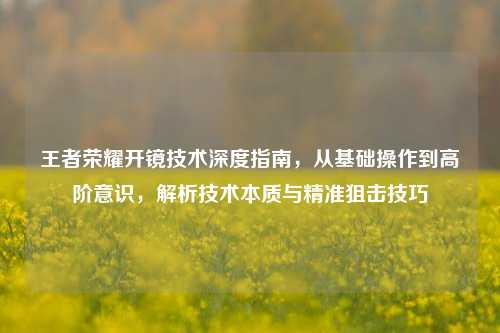 王者荣耀开镜技术深度指南,从基础操作到高阶意识,解析技术本质与精准狙击技巧