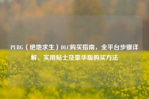 PUBG（绝地求生）DLC购买指南，全平台步骤详解、实用贴士及豪华版购买方法