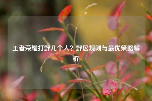 王者荣耀打野几个人？野区规则与最优策略解析