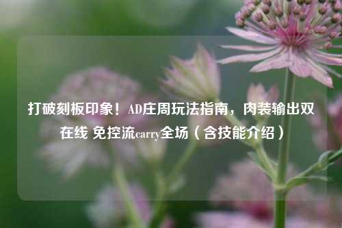 打破刻板印象！AD庄周玩法指南，肉装输出双在线 免控流carry全场（含技能介绍）