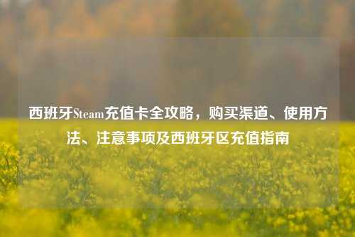 西班牙Steam充值卡全攻略,购买渠道、使用方法、注意事项及西班牙区充值指南