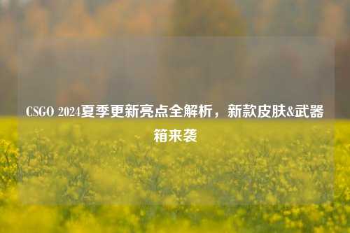 CSGO 2024夏季更新亮点全解析,新款皮肤&武器箱来袭