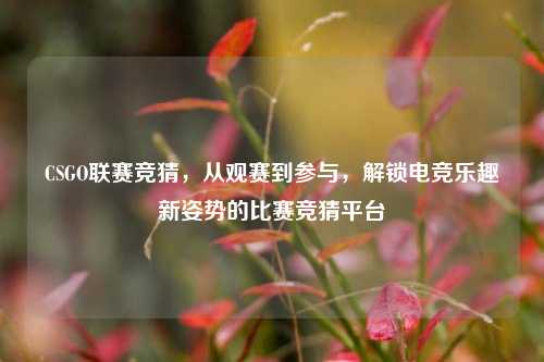 CSGO联赛竞猜，从观赛到参与，解锁电竞乐趣新姿势的比赛竞猜平台