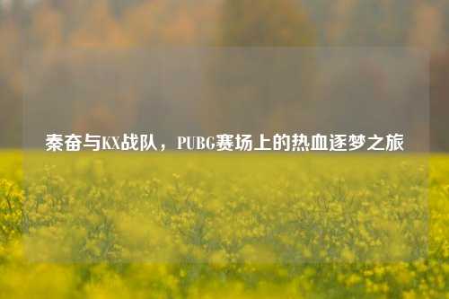 秦奋与KX战队,PUBG赛场上的热血逐梦之旅