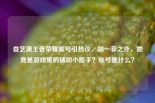 娄艺潇王者荣耀账号引热议，胡一菲之外，她竟是游戏里的辅助小能手？账号是什么？