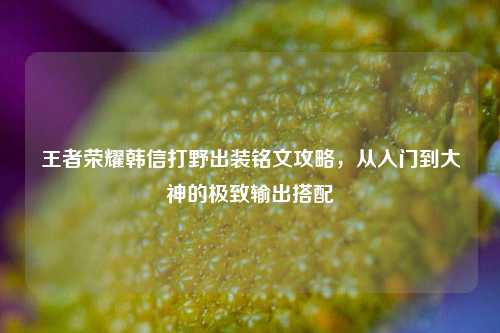 王者荣耀韩信打野出装铭文攻略，从入门到大神的极致输出搭配