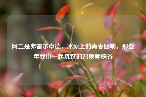 网三是弗雷尔卓德，冰原上的青春回响，那些年我们一起坑过的召唤师峡谷